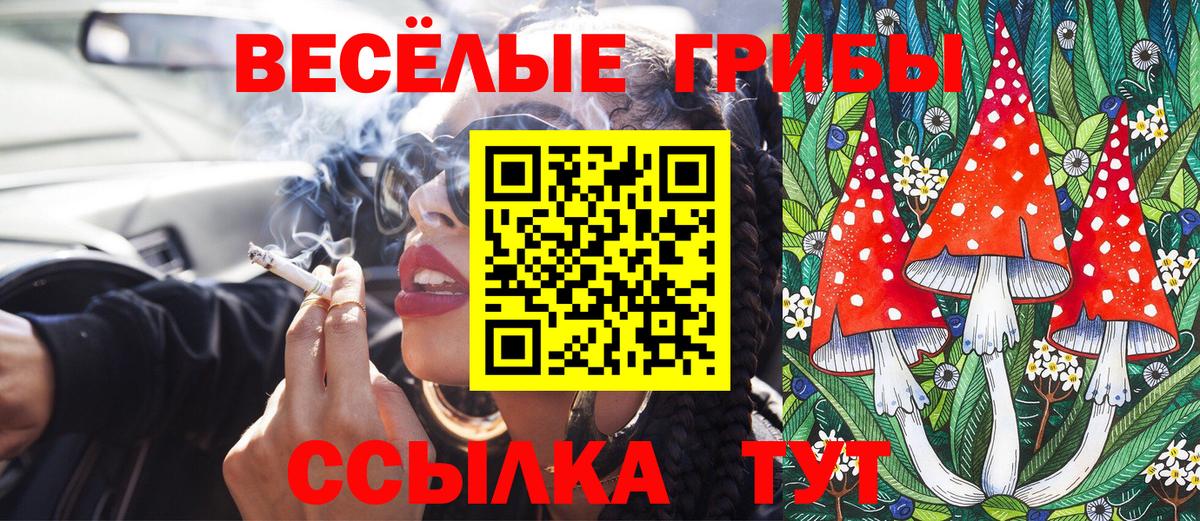 Галлюциногенные грибы Magic Shrooms  Вход с VPN  Галлюциногенные грибы ЛСД  Пушкино 