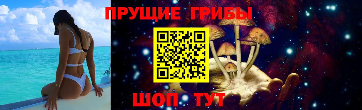 Галлюциногенные грибы GOLDEN TEACHER Пушкино